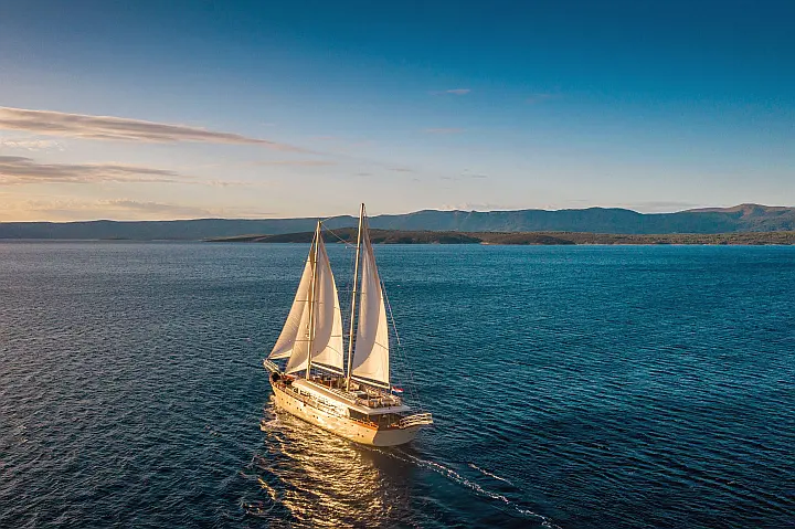 Motor sailer - 