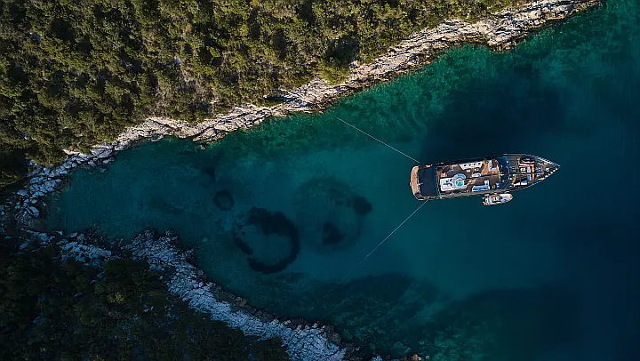Motor sailer - 
