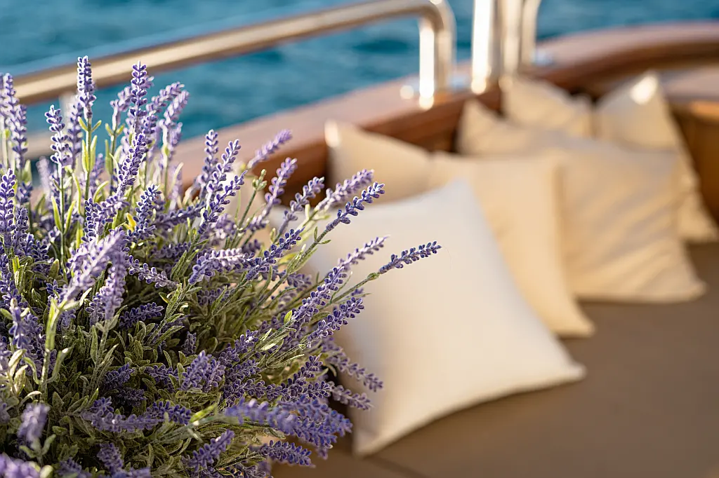 Luxury Motoryacht  - 